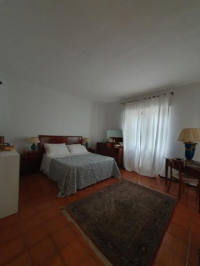 Bookanvillea Trani